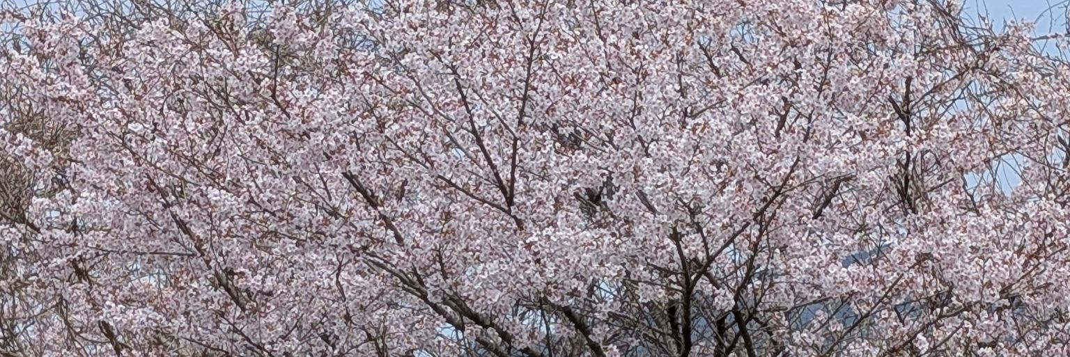 りゅうたろう banner