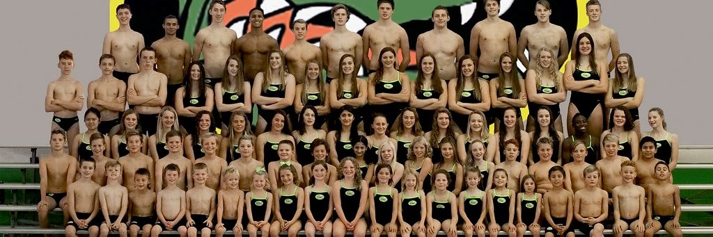 vagatorswim's profile banner image