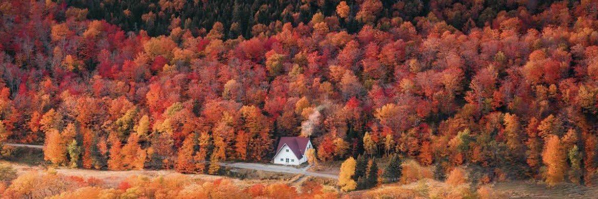 Alexander Draconis / Serynder banner