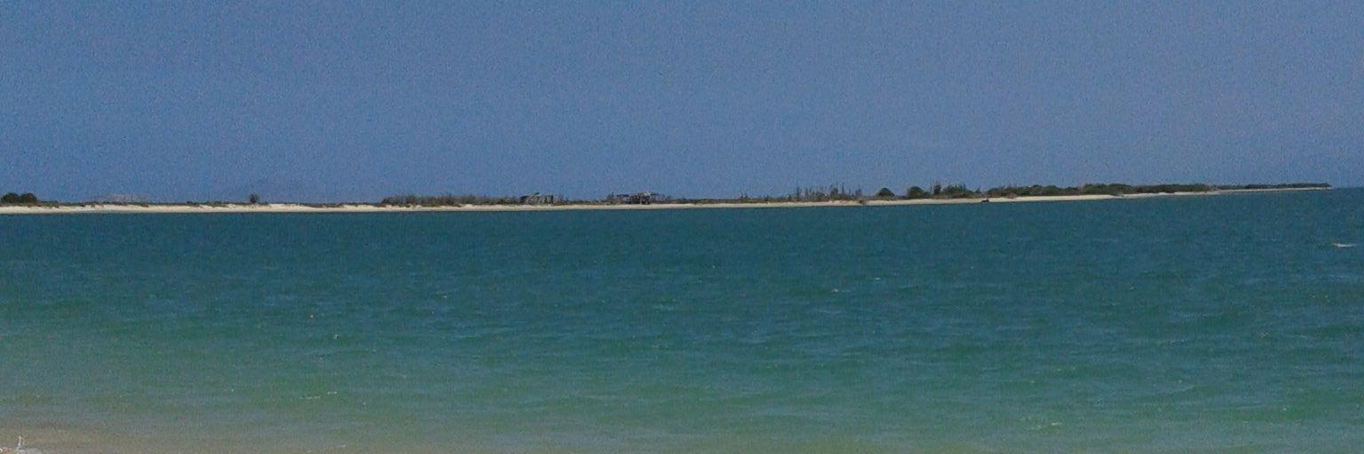 lapichivane's profile banner image