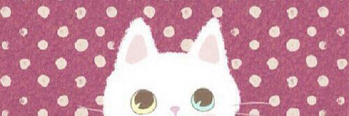 cuwkgency's profile banner image