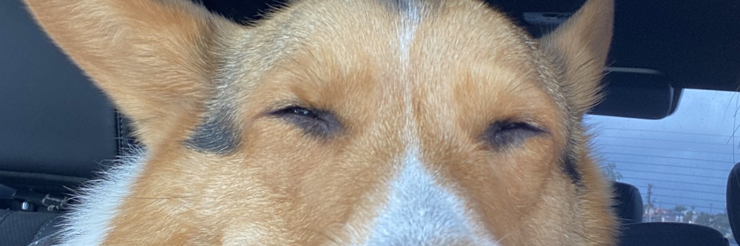michelleyboooo's profile banner image