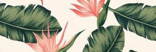 Paulipri's profile banner image