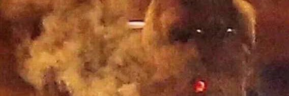 psikologmen's profile banner image