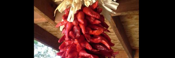 Sen_Lopez4NM Profile Banner