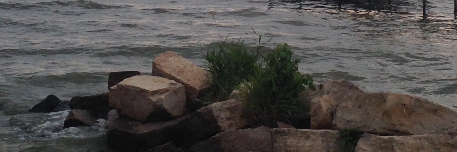 tonimitchell82's profile banner image