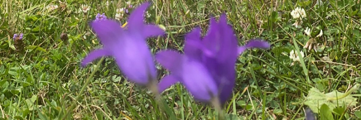 zeg8632's profile banner image