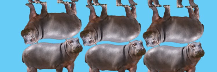 n__mapon's profile banner image