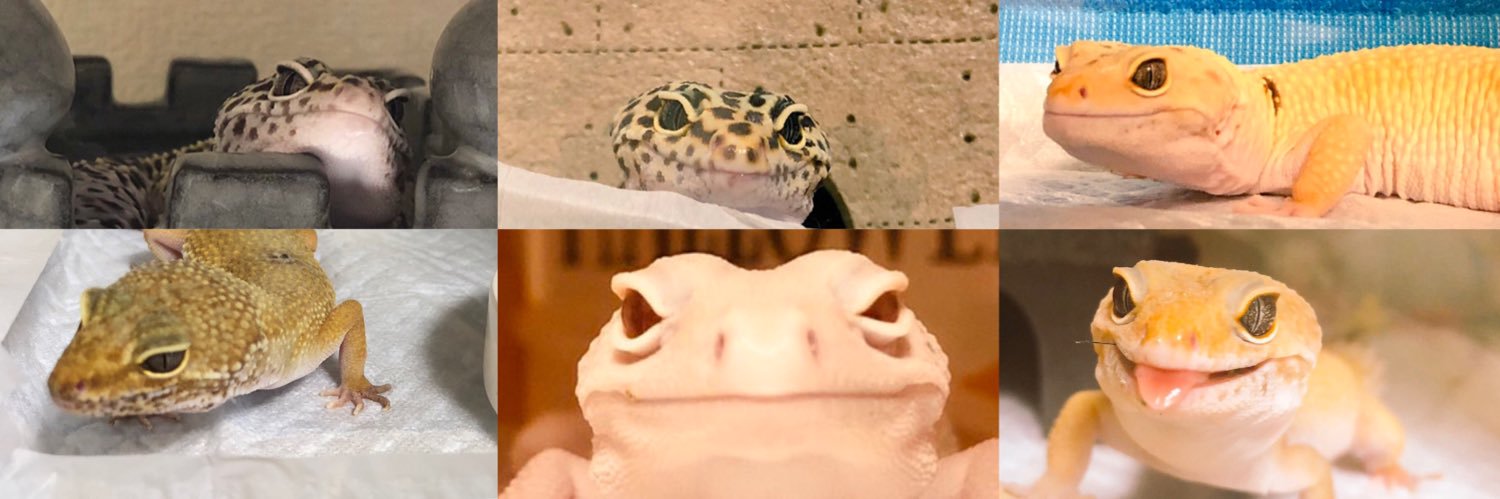 kievowmam's profile banner image