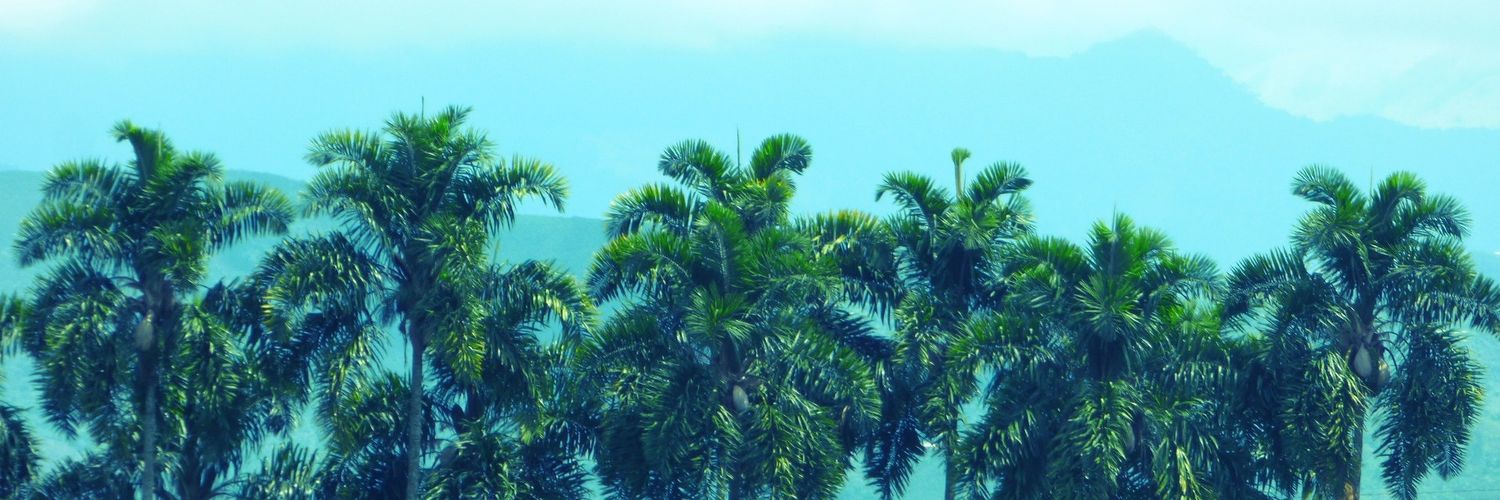 echoescc's profile banner image