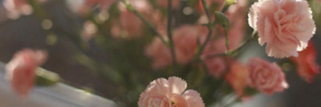 S_A14012's profile banner image