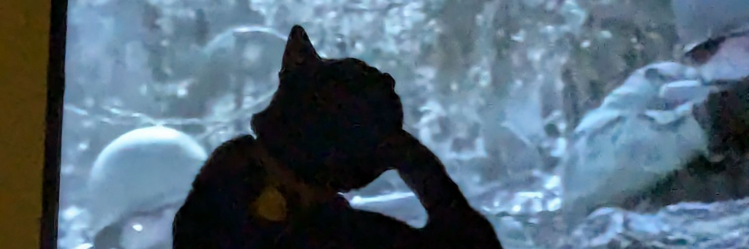 paulcarter0822's profile banner image