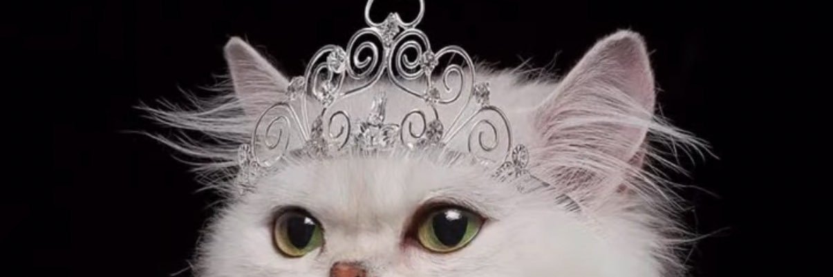 nylahsopretty's profile banner image