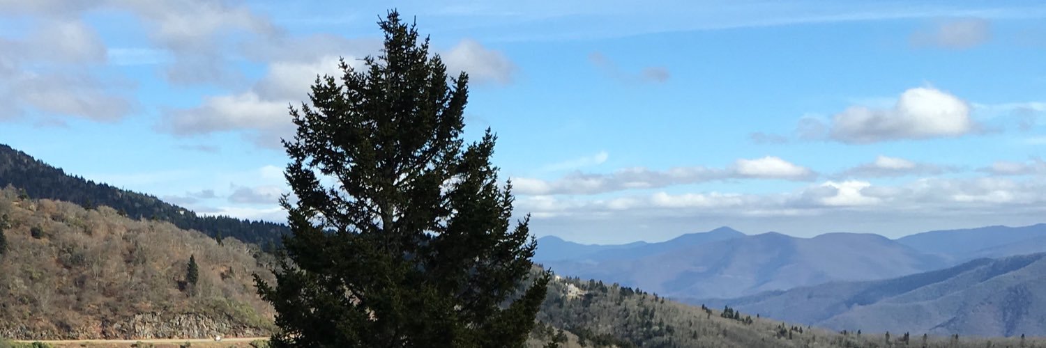 ilovepaws2's profile banner image