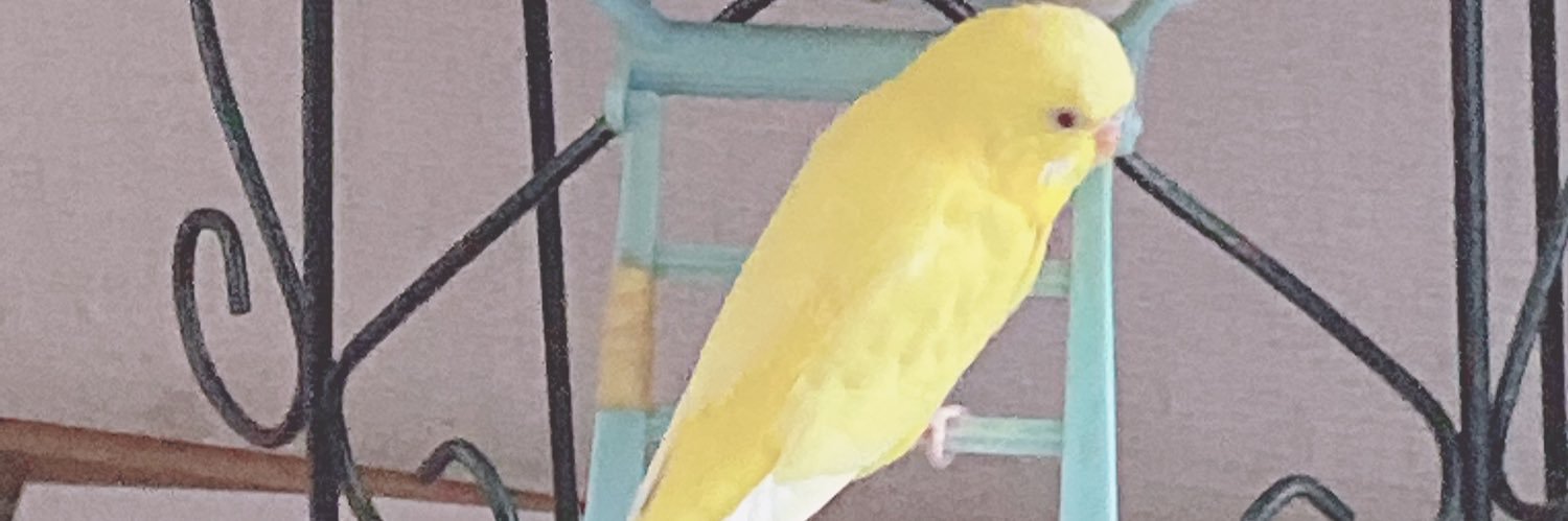 まあ🩷 banner