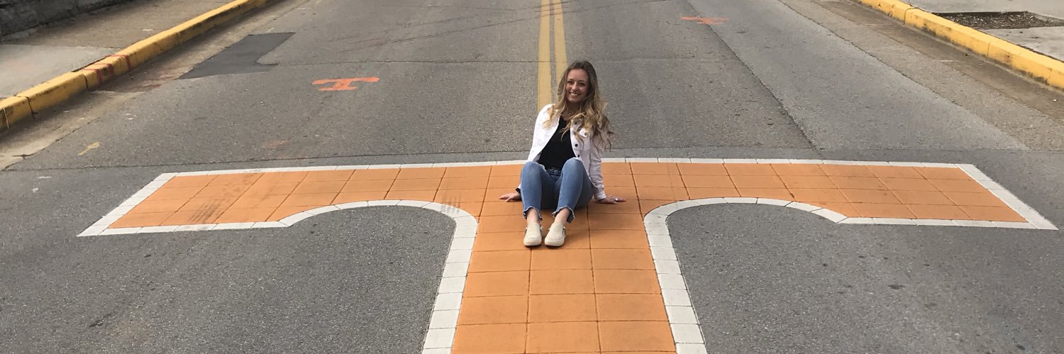 skylarburt's profile banner image