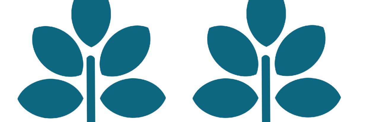 jhafoundation's profile banner image