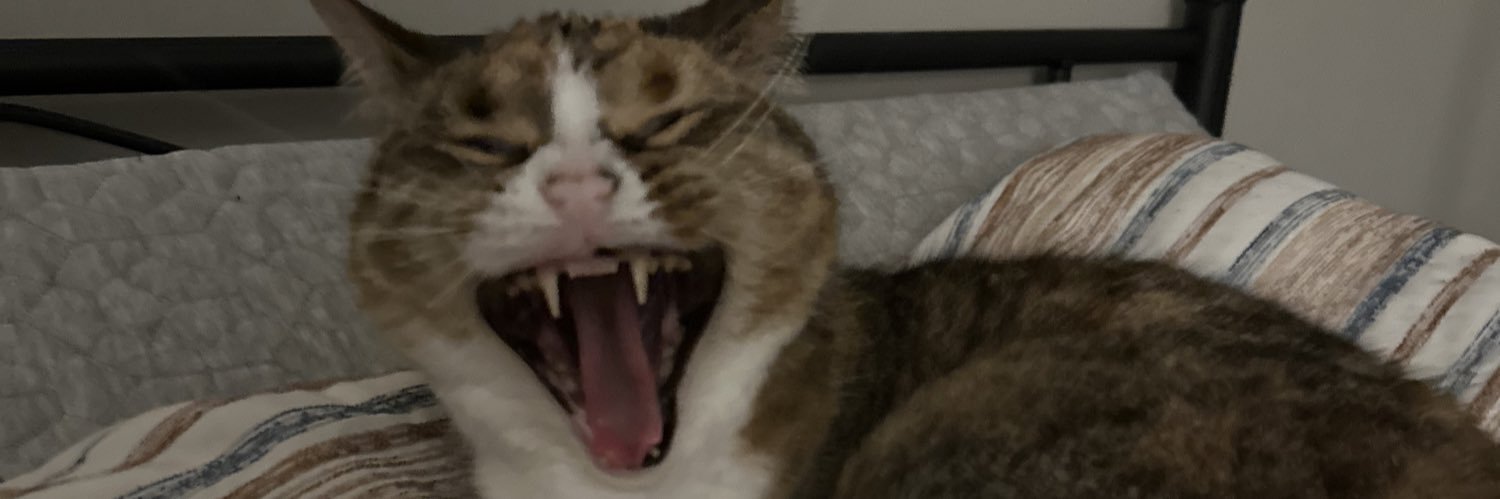 BundleOfTy's profile banner image