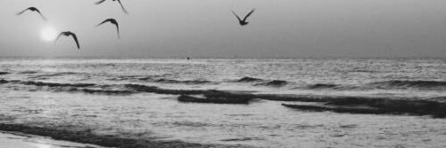 sara____22's profile banner image