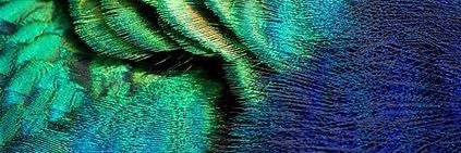 godsarebad's profile banner image