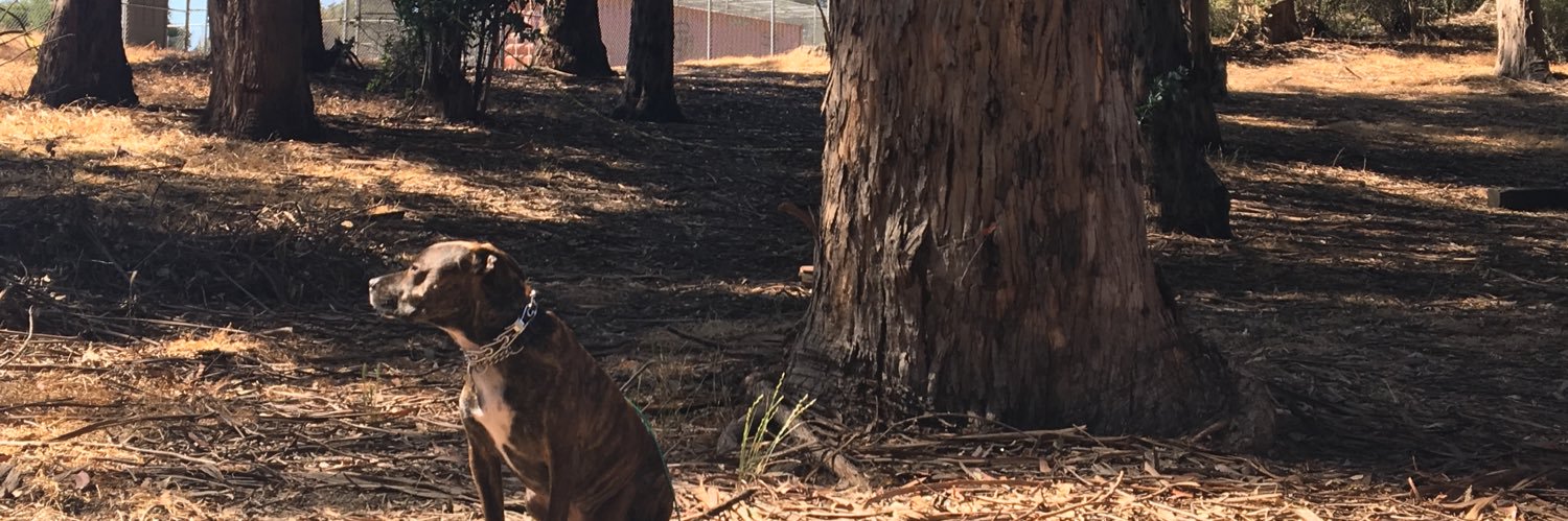 justjables's profile banner image