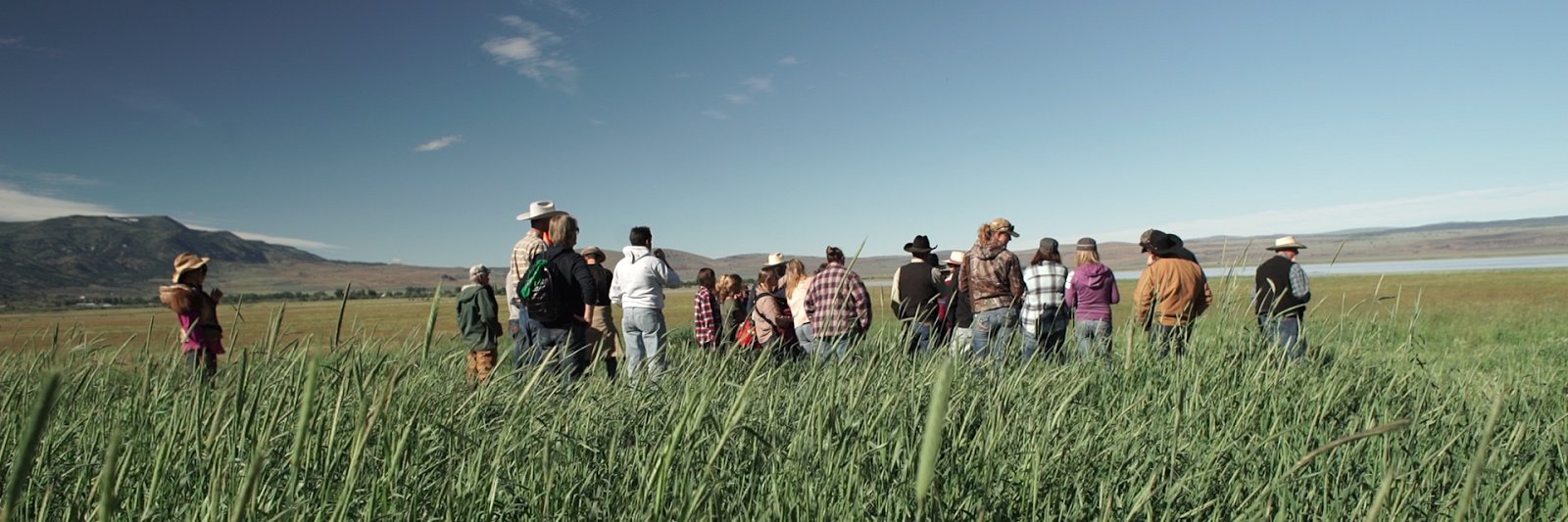 Grazing4Change's profile banner image