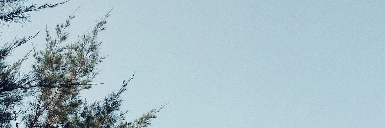 lilakrn's profile banner image
