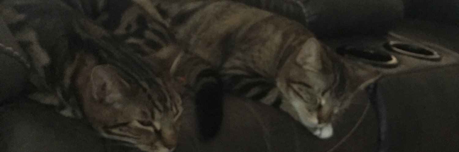 BillieKay Fox banner