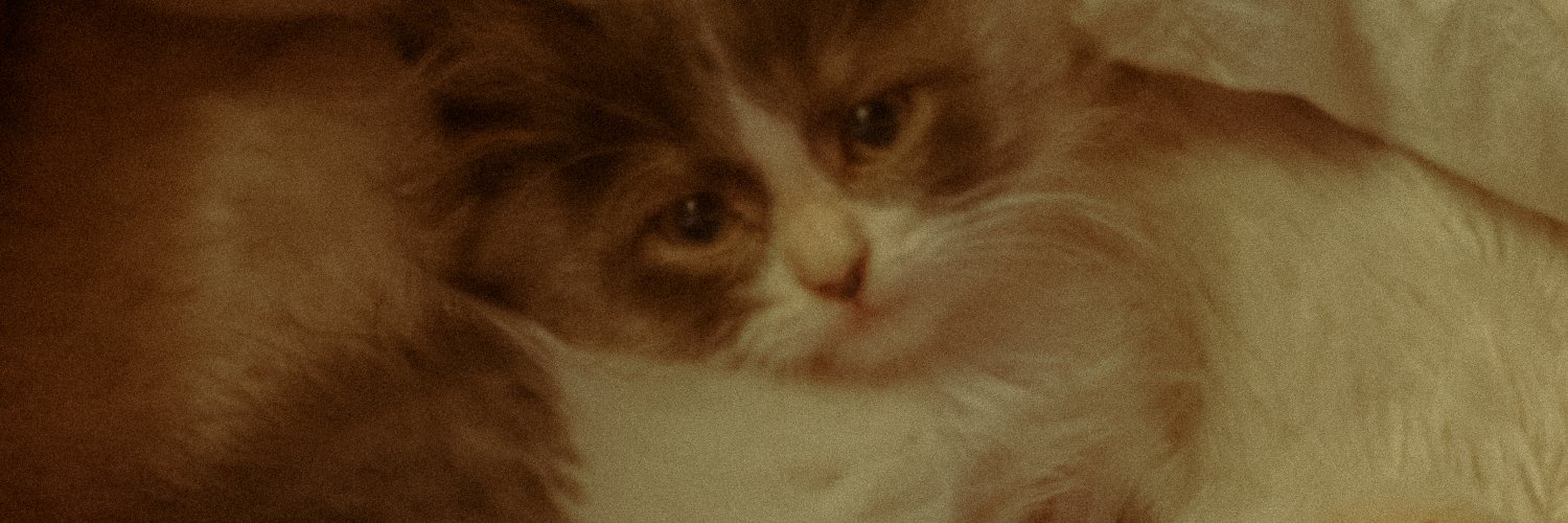 dkyian's profile banner image
