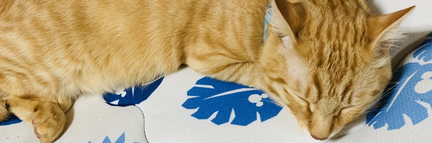 snplz_mkt's profile banner image