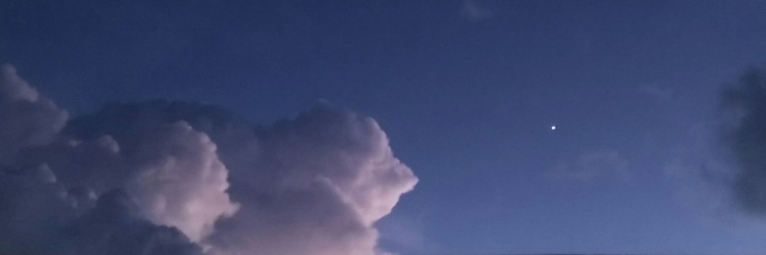 missyaala's profile banner image