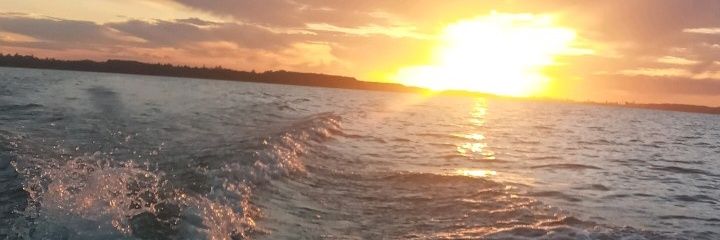 Dani012001's profile banner image