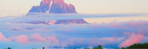 googledstyles's profile banner image