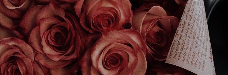 isabelacubii's profile banner image