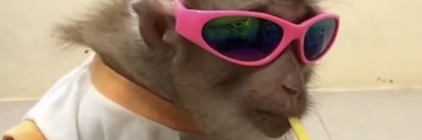 oimartim's profile banner image