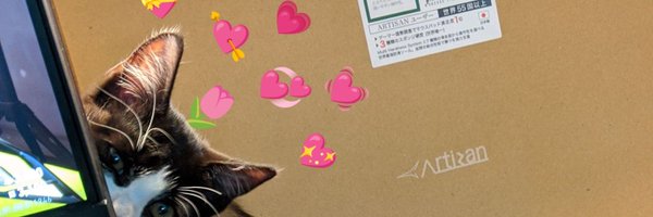 vik_oce Profile Banner