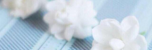 8184sss's profile banner image