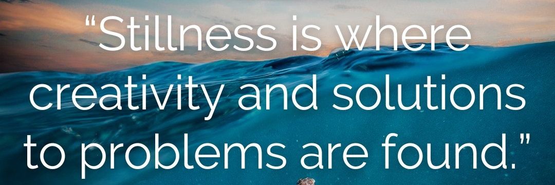 Lina Anderson banner