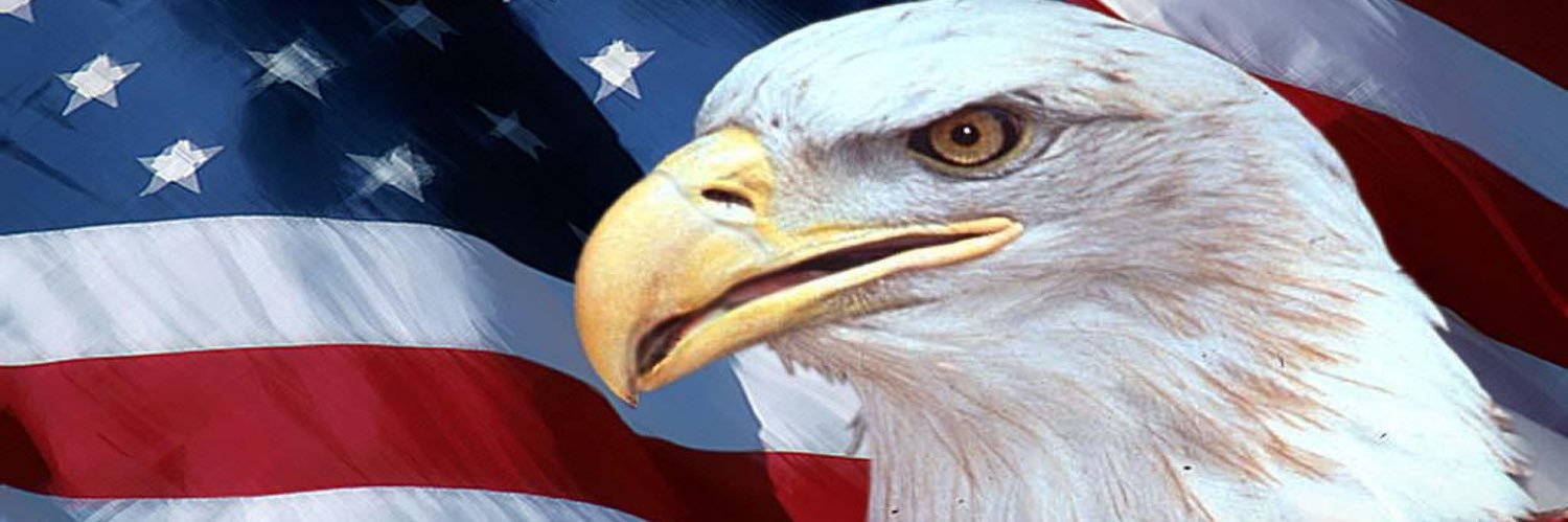 rnsilva105's profile banner image