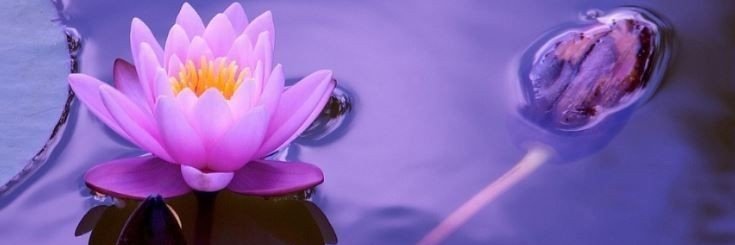 mrali7671's profile banner image