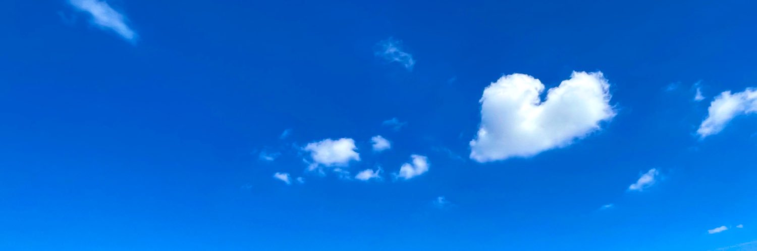 マメ banner