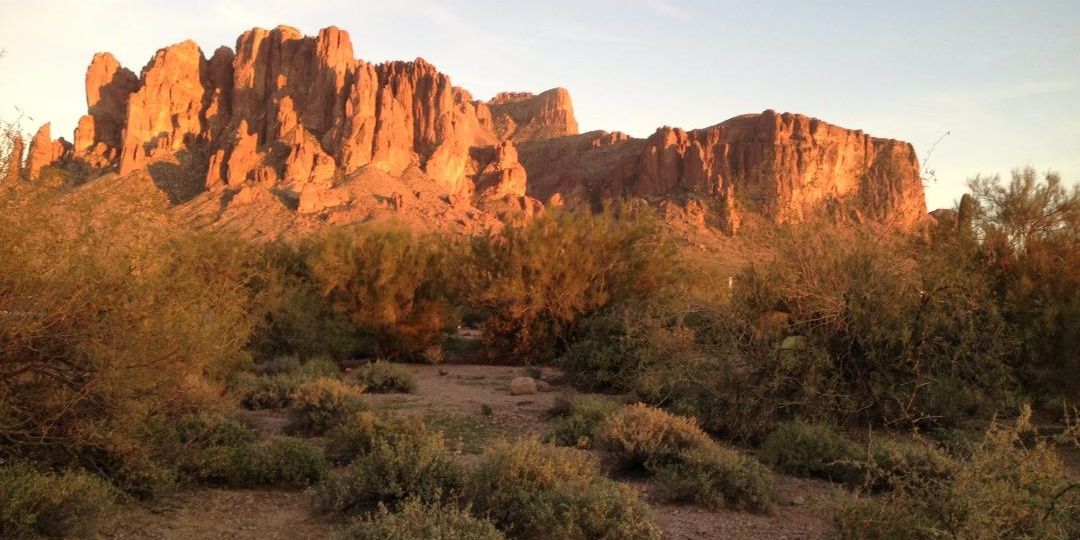 Jennifer Klein banner