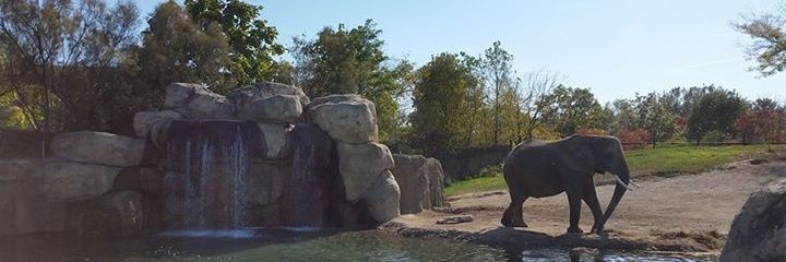 nathelton's profile banner image