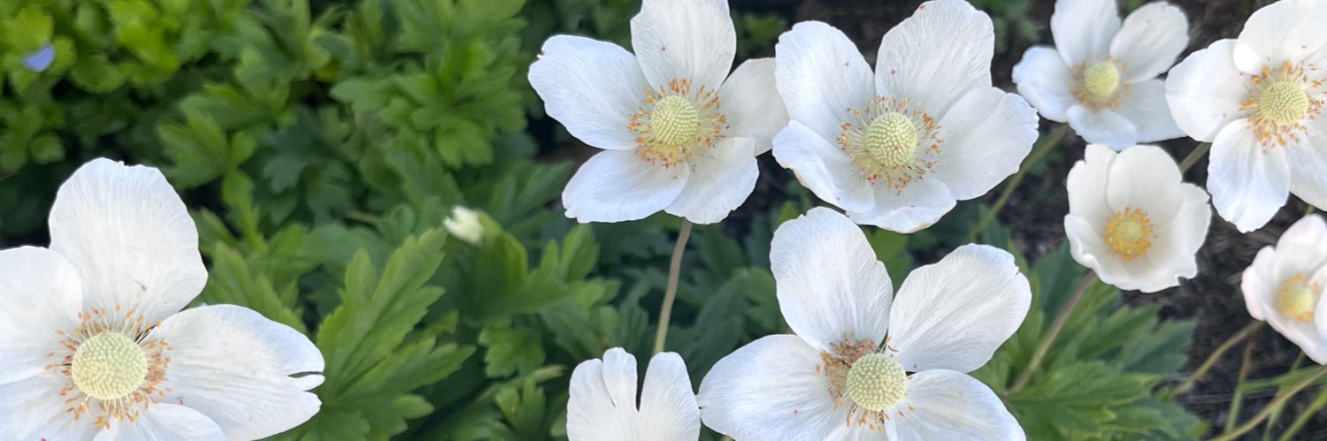 Mataiya_'s profile banner image