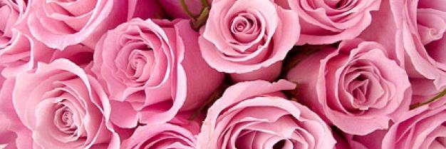 hiro_818_rose's profile banner image