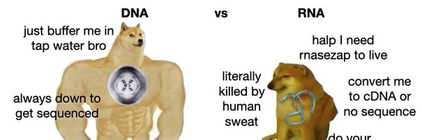 MatthewMcAteer0 Profile Banner