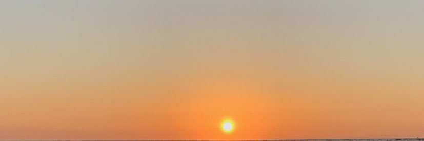 cece banner