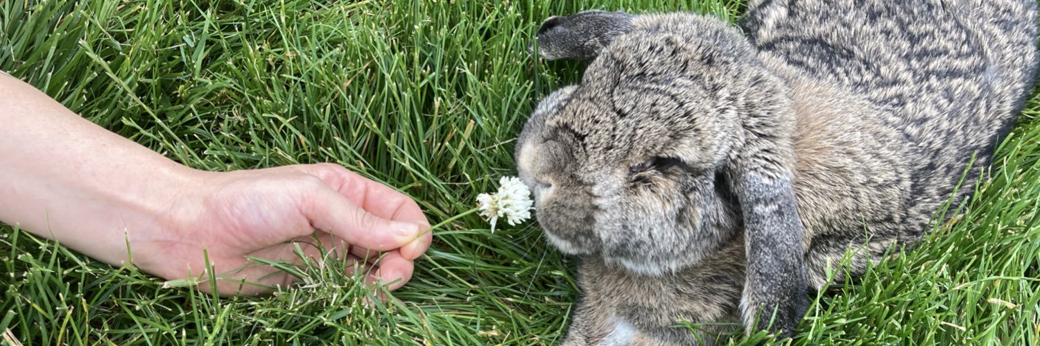 Madison Faith🌷 banner