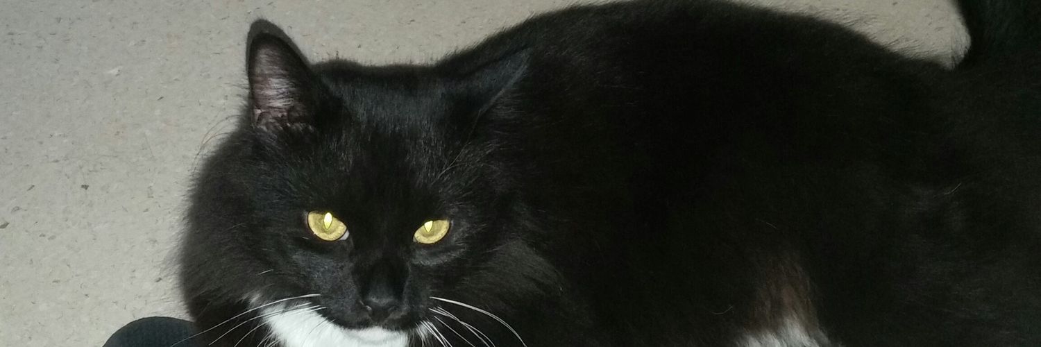 MissMegsy76's profile banner image