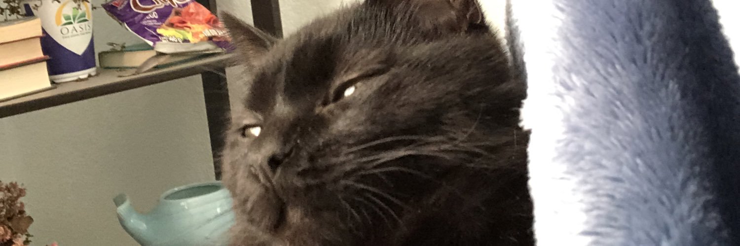 Dorisrubyy's profile banner image